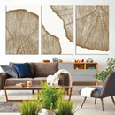 Rustic Brown Tree Ring Wall Art Canvas Print – Framed and