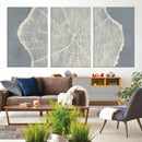 Abstract Tree Ring Wall Art Canvas Print – Nature-Inspired,