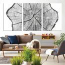 Rustic Tree Ring Wall Art Canvas Print – Framed and Ready to
