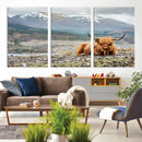 Highland Cow Horn Farm Wall Art Canvas Print