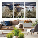 Charming Sheep Portrait Wall Art – Trio of Woolly Companions by MyGreatCanvas | Canvas Wall Art Prints | Photo Prints & Wall Decor