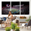 Ben Hill Griffin Stadium Night Game Triple Canvas Wall Art -