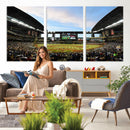 Arizona Diamondbacks Team Print - Phoenix Chase Field