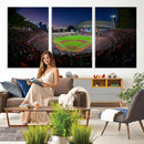 Houston Astros Baseball Print Canvas - Houston Minute Maid