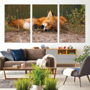 Sleeping Fox Wall Art Canvas Print, Farmhouse Wall Decor and by MyGreatCanvas | Canvas Wall Art Prints | Photo Prints & Wall Decor