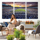 Kroger Field Wall Art Print - Kentucky Stadium Wall Art