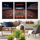 Texas Stadium Night Game Wall Art Canvas Print – Vibrant