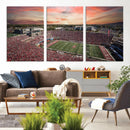 Indiana Memorial Stadium Wall Art Canvas Print, Framed