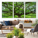 Ancient Tree Wall Art Canvas Print, Framed Sprawling by MyGreatCanvas | Canvas Wall Art Prints | Photo Prints & Wall Decor