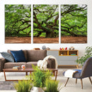 Majestic Oak Tree Wall Art Canvas Print – Ancient Branches by MyGreatCanvas | Canvas Wall Art Prints | Photo Prints & Wall Decor