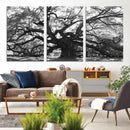 Ancient Oak Wall Art Canvas Print – Gnarled Tree Twisted by MyGreatCanvas | Canvas Wall Art Prints | Photo Prints & Wall Decor