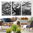 Ancient Oak Wall Art Canvas Print, Majestic Twisted Branches by MyGreatCanvas | Canvas Wall Art Prints | Photo Prints & Wall Decor
