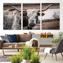 Texas Longhorn Wall Art Canvas Print – Framed Spotted Bull