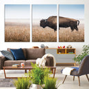 Wild Bison Wall Art – Framed Prairie Landscape Canvas by MyGreatCanvas | Canvas Wall Art Prints | Photo Prints & Wall Decor