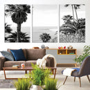 Palm Trees Wall Art Canvas Print – Framed Coastal Ocean