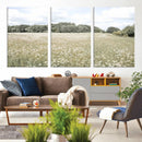 Charming Daisy Field Wall Art Canvas Print – Framed Pastel by MyGreatCanvas | Canvas Wall Art Prints | Photo Prints & Wall Decor