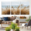 Beach Grass Wall Art – Framed Coastal Dunes Canvas Artwork, by MyGreatCanvas | Canvas Wall Art Prints | Photo Prints & Wall Decor