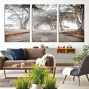 Cypress Tunnel Wall Art – Framed Misty Road Canvas Artwork, by MyGreatCanvas | Canvas Wall Art Prints | Photo Prints & Wall Decor