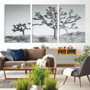 Joshua Trees Wall Art Canvas Print – Framed Black White
