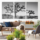 Joshua Tree Wall Art Canvas Print – Framed Monochrome Desert