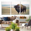 Bison Wall Art Canvas Print – Framed Buffalo American Bison