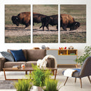 Bison Wall Art Canvas Print – Framed Western Wildlife Modern by MyGreatCanvas | Canvas Wall Art Prints | Photo Prints & Wall Decor