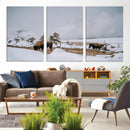 Bison Wildlife Wall Art Canvas Print – Framed Snowy Prairie