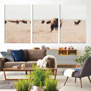 Bison Herd Wall Art Canvas Print – Framed Western Prairie