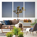 Joshua Tree Wall Art Canvas Print – Framed Southwestern