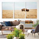 Buffalo Wall Art Canvas Print – Framed Western Wildlife