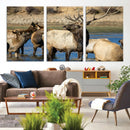 Wild Elk Wall Art Canvas Print – Framed Neutral Wildlife