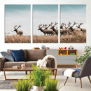Elk Herd Wall Art Canvas Print – Framed Wildlife Photography