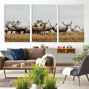 Elk Herd Wall Art Canvas Print – Framed Wildlife Photography