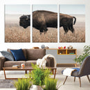American Bison Wall Art Canvas Print – Majestic Buffalo