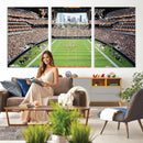 Chicago Bears Soldiers Field Wall Art Canvas Print – Framed
