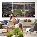Chicago Bears Soldiers Field Wall Art Canvas Print – Framed