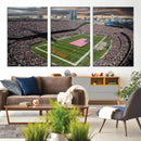 Chicago Bears Soldiers Field Wall Art Canvas Print – Framed