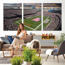 Chicago Bears Soldiers Field Wall Art Canvas Print – Framed
