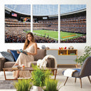 Chicago Bears Soldiers Field Wall Art Canvas Print – Framed
