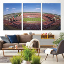 William Brice Stadium Wall Art Canvas Print – Stadium Crowd by MyGreatCanvas | Canvas Wall Art Prints | Photo Prints & Wall Decor
