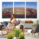 William Brice Stadium Wall Art Canvas Print – Stadium Crowd