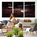William Brice Stadium Wall Art Print – Baseball Game Room