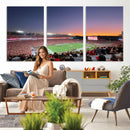 Dooley Stadium Wall Art, Sports Arena Canvas Print, Dooley