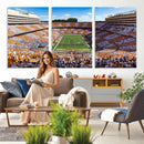 Tennessee Neyland Stadium Wall Art, Sports Arena Canvas by MyGreatCanvas | Canvas Wall Art Prints | Photo Prints & Wall Decor