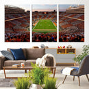 Tennessee Neyland Stadium Wall Art, Sports Arena Canvas by MyGreatCanvas | Canvas Wall Art Prints | Photo Prints & Wall Decor