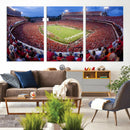 Dooley Stadium Wall Art, Sports Arena Canvas Print, Dooley by MyGreatCanvas | Canvas Wall Art Prints | Photo Prints & Wall Decor