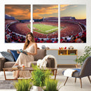 Dooley Stadium Wall Art, Sports Arena Canvas Print, Dooley