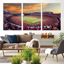 Dooley Stadium Wall Art, Sports Arena Canvas Print, Dooley by MyGreatCanvas | Canvas Wall Art Prints | Photo Prints & Wall Decor