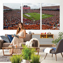 Jordan-Hare Stadium Wall Art Canvas Print, College Sports