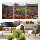 Jordan-Hare Stadium Wall Art Canvas Print, College Sports by MyGreatCanvas | Canvas Wall Art Prints | Photo Prints & Wall Decor
